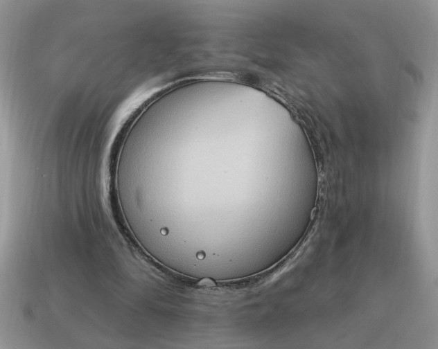 X0000115030294200911091349