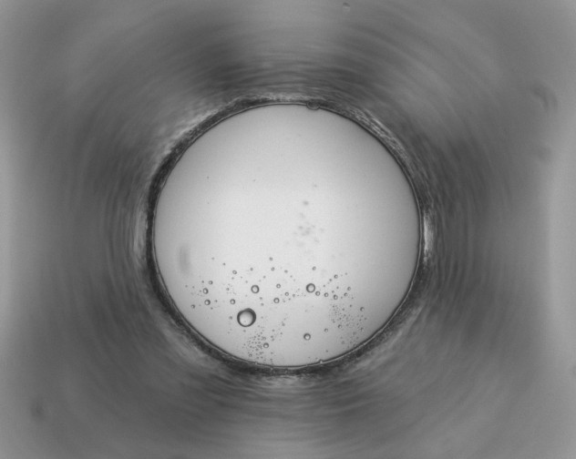 X0000115030301200911091349