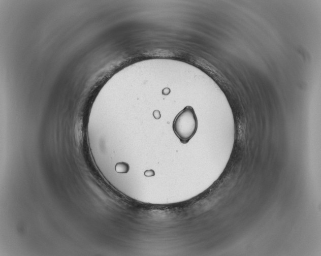 X0000115030302200911091349