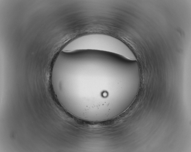 X0000115030309200911091348