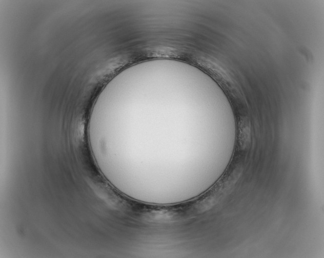 X0000115030310200911091348