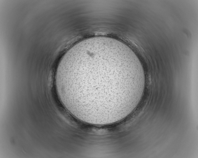 X0000115030311200911091348