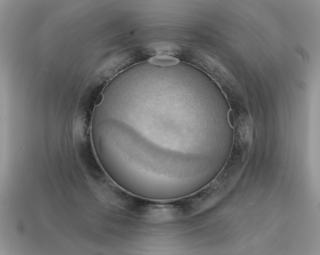 X0000115030316200911091348