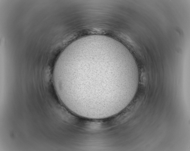 X0000115030318200911091348