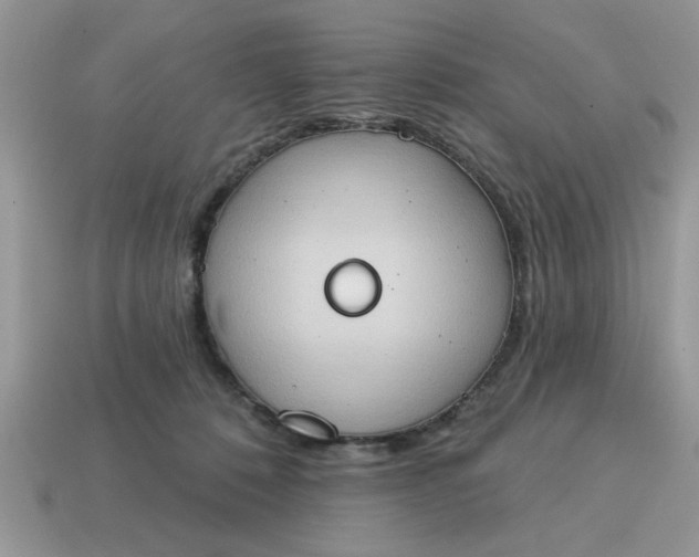 X0000115030320200911091348