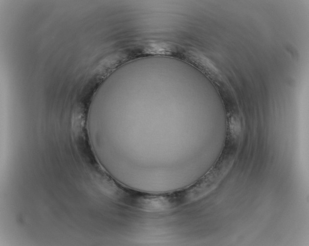 X0000115030322200911091348