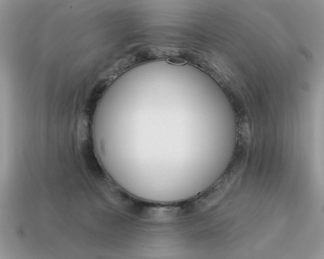 X0000115030323200911091348