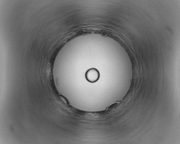 X0000115030328200911091348