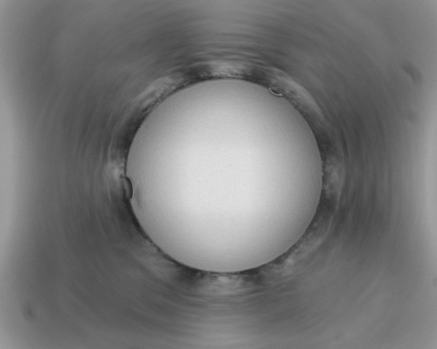 X0000115030329200911091348