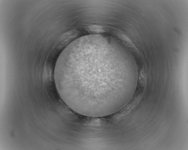 X0000115030330200911091348