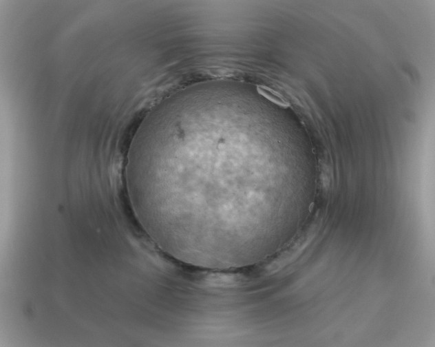 X0000115030332200911091348