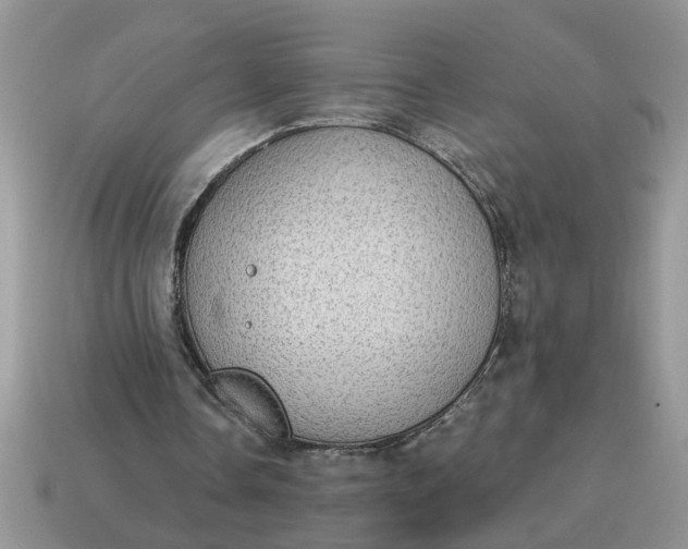 X0000115030338200911091347