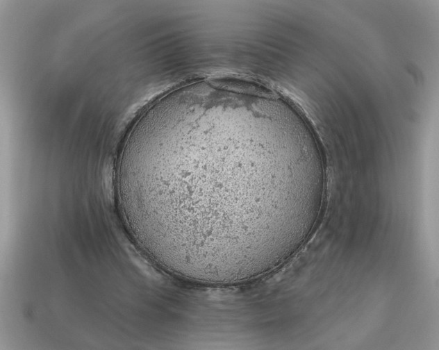 X0000115030345200911091347
