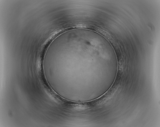 X0000115030347200911091347