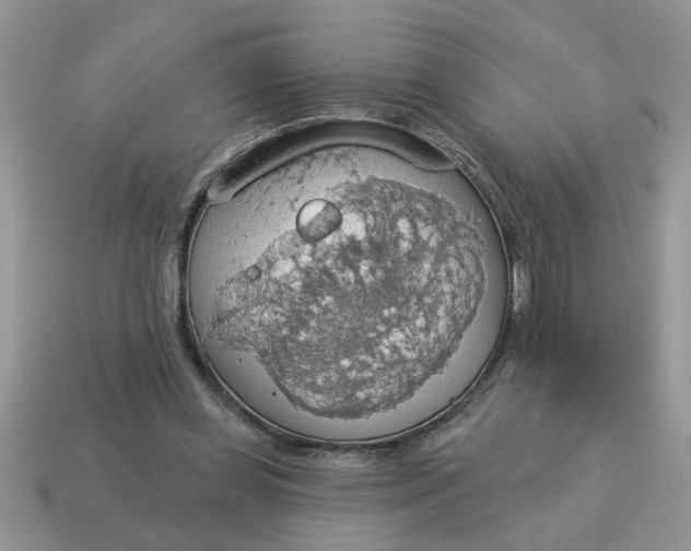 X0000115030349200911091348
