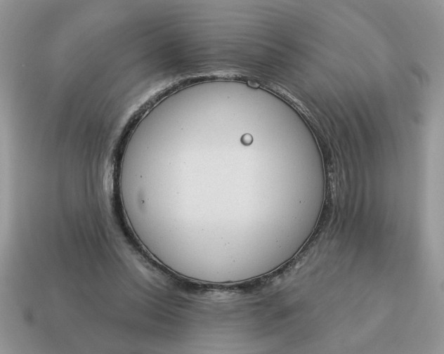 X0000115030350200911091348