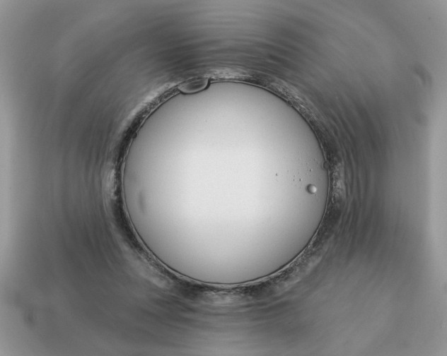 X0000115030351200911091348