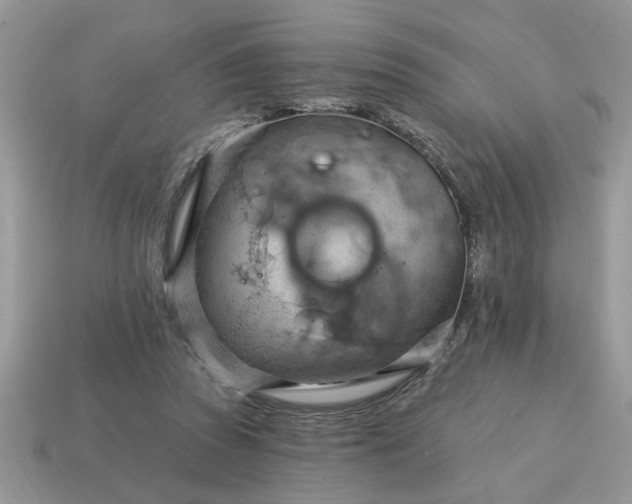 X0000115030353200911091348