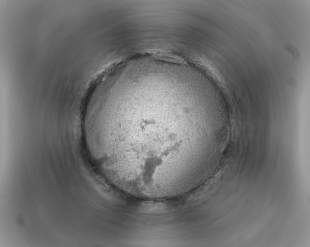 X0000115030354200911091348
