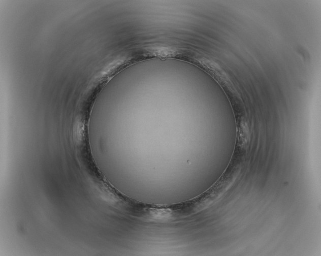 X0000115030355200911091348