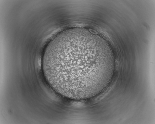 X0000115030358200911091348