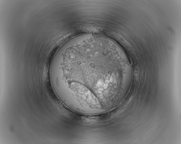 X0000115030359200911091348