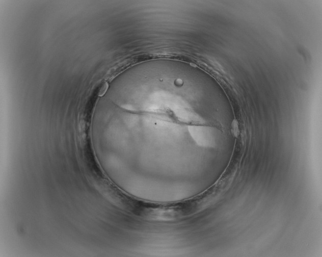 X0000115030366200911091348