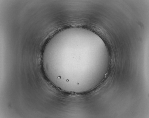 X0000115030367200911091348