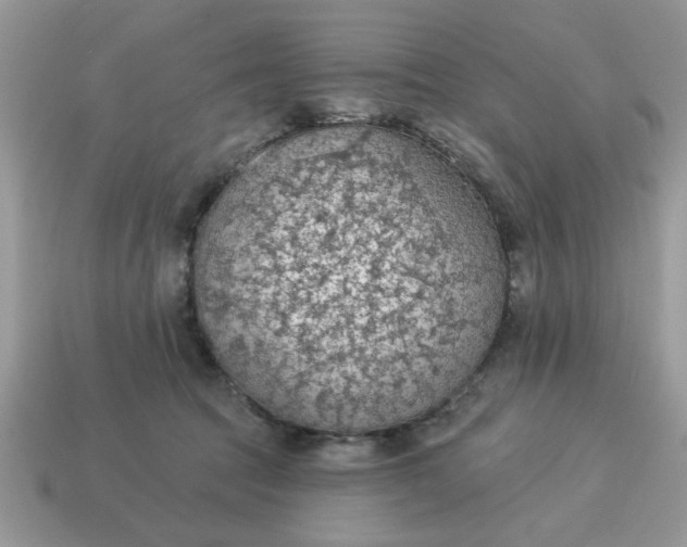 X0000115030369200911091348