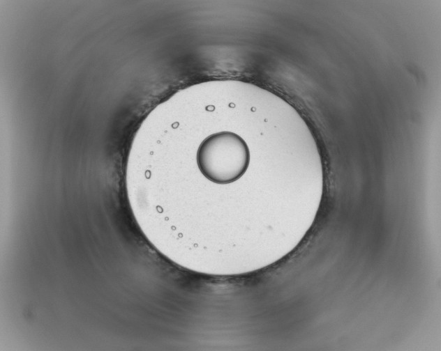 X0000115030370200911091348