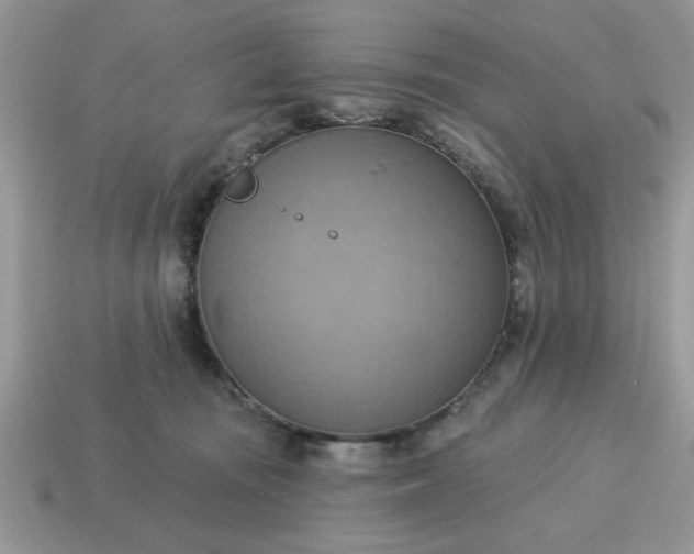 X0000115030371200911091348