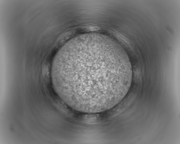 X0000115030373200911091348