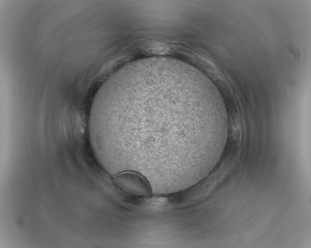 X0000115030374200911091348