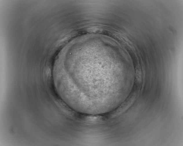 X0000115030375200911091348