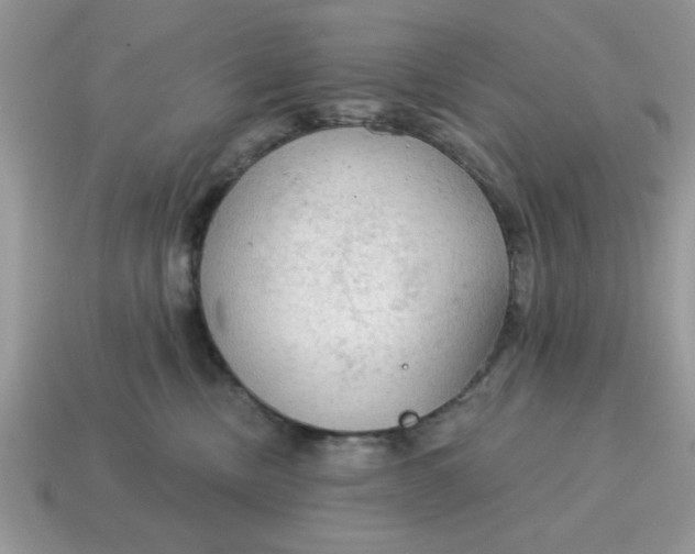 X0000115030378200911091348