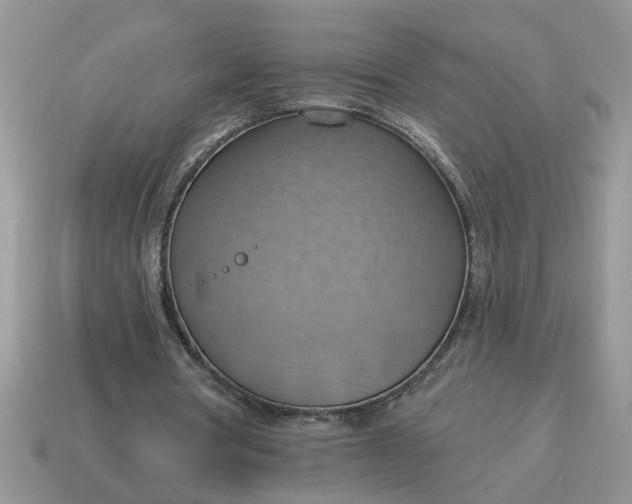 X0000115030386200911091347