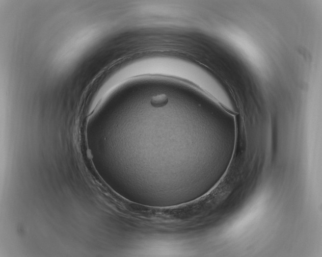 X0000115030387200911091347