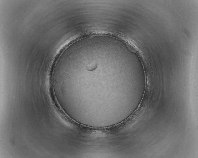 X0000115030390200911091347