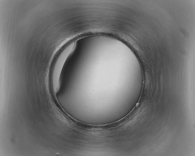 X0000115030391200911091347