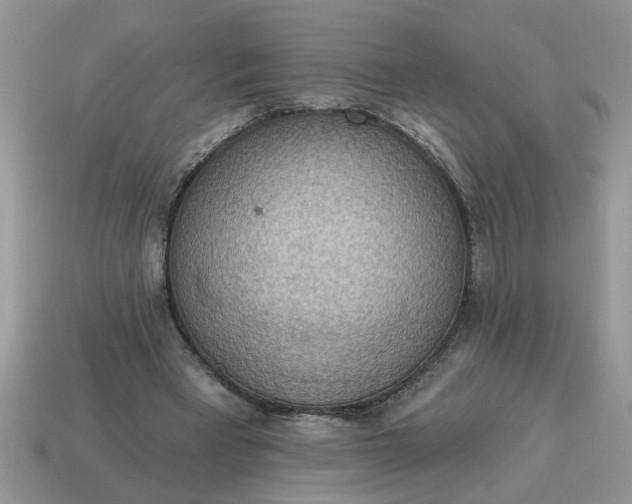 X0000115030393200911091347