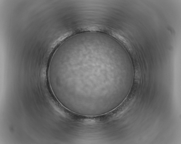 X0000115030394200911091347