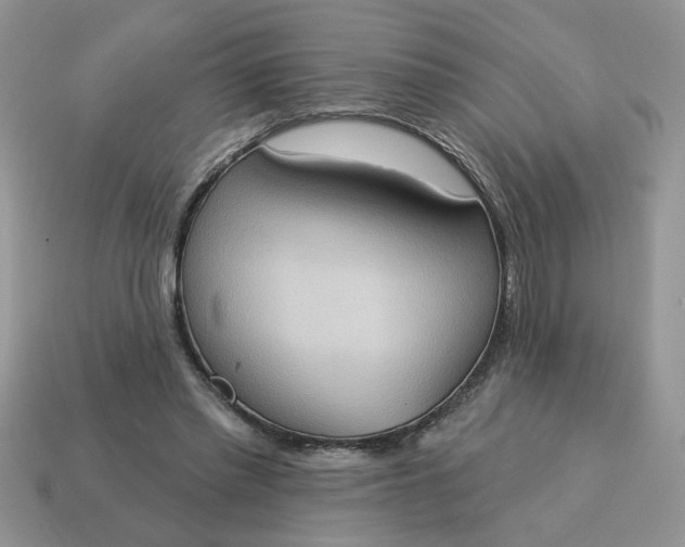 X0000115030397200911091347