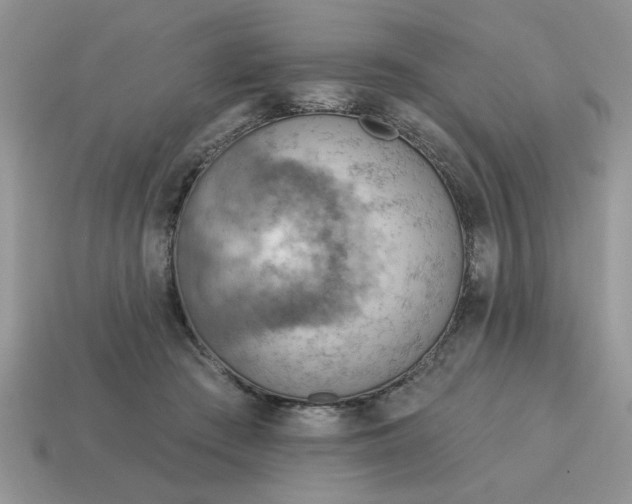 X0000115030409200911091347
