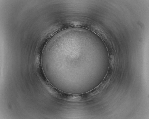 X0000115030410200911091347
