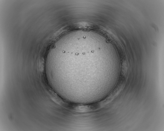 X0000115030413200911091347
