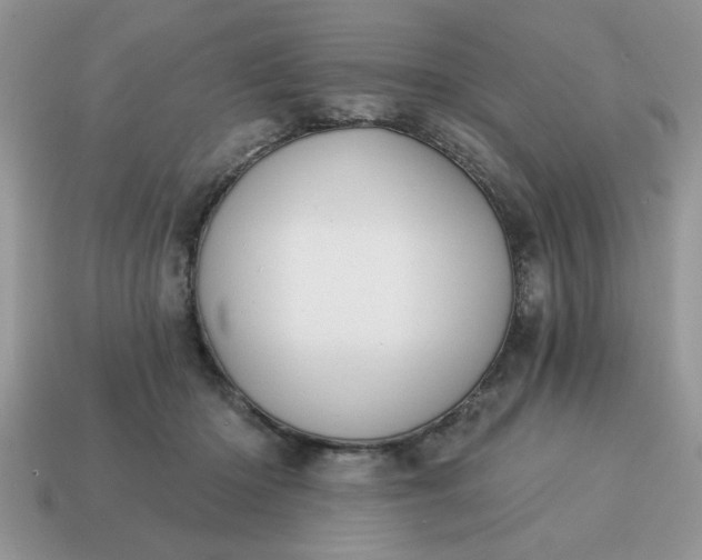 X0000115030414200911091347
