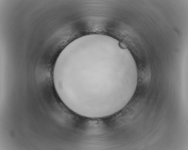 X0000115030415200911091347