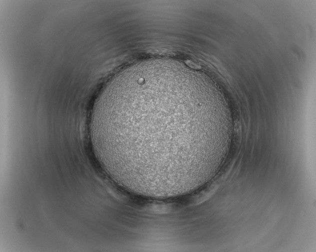 X0000115030416200911091347