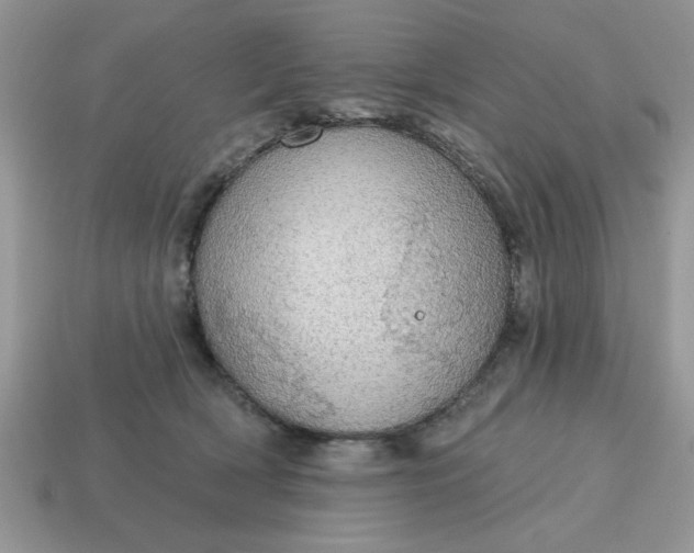 X0000115030418200911091347