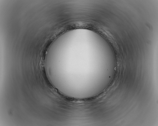 X0000115030419200911091347